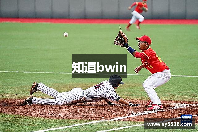 知道bwin